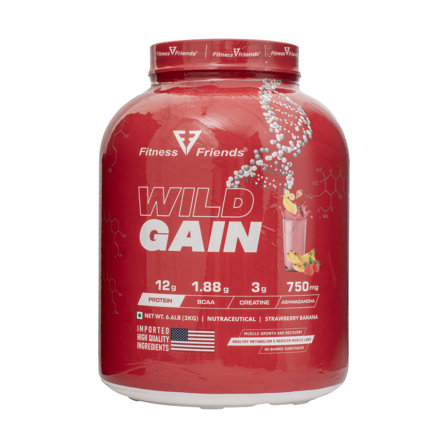 WILD GAIN MASS GAINER 3KG